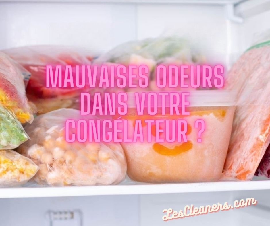 Mauvaises-odeurs-dans-votre-congelateur-lg.webp